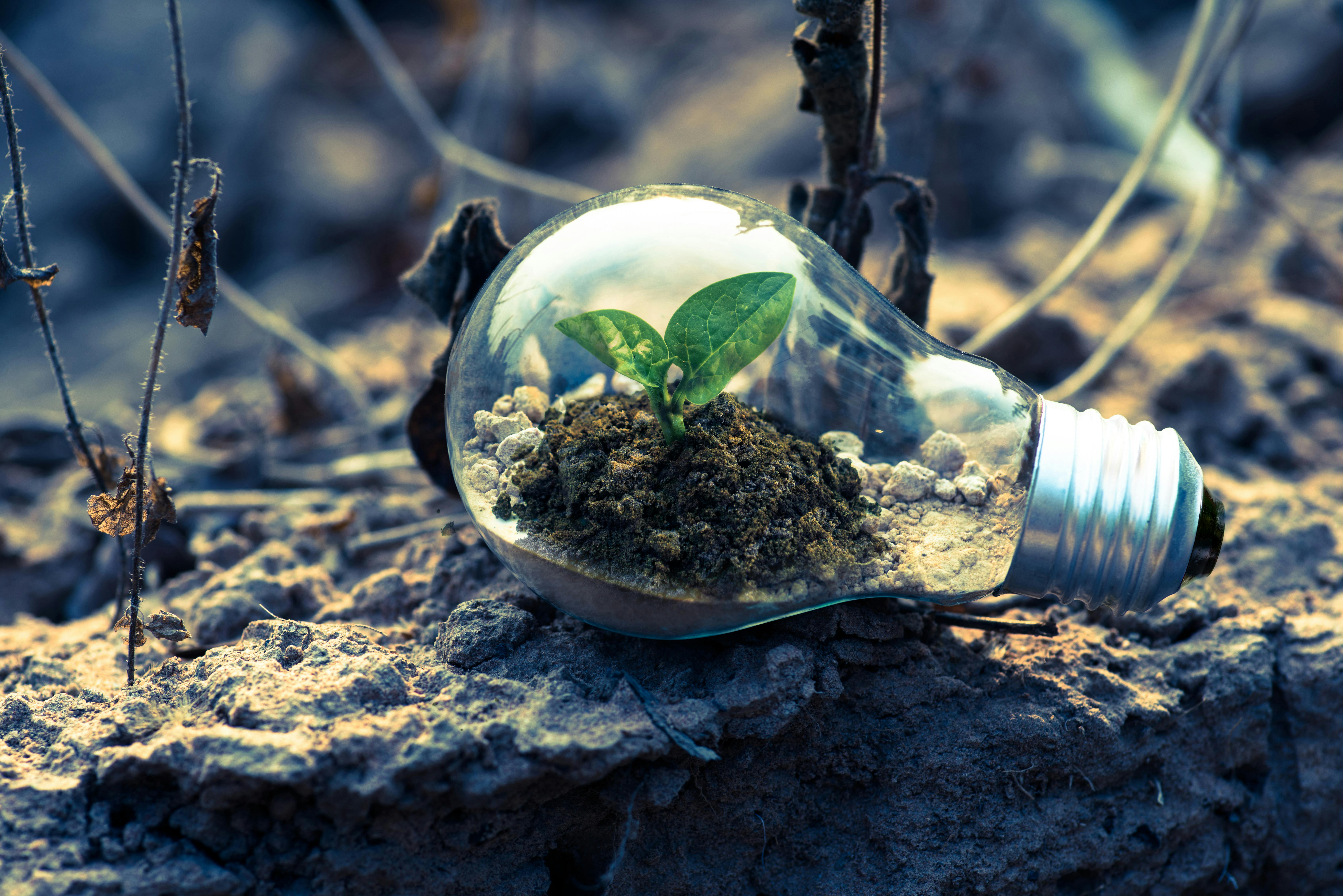Imagen energia verde